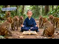 Lagu Pemuda menolong monyet yang membawanya ke kitab sakti, menjadikannya pendekar hebat!