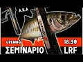 Download Lagu Εξειδικευμένο σεμινάριο ajing στο Pesca Mafia