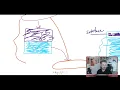 Developing Enjoyable Deep Modules
