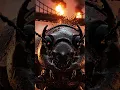 Download Lagu The Titan Beetle: The Real-Life Tank of the Insect World 🪲💥