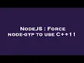NodeJS Force node-gyp to use C 11