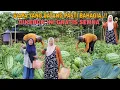 Download Lagu SIAPA YANG DATANG PASTI BAHAGIA..!! DIKEBUN INI GRATIS SEMUA
