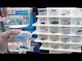 RARE BETTA FISH SHOPPING SPREE NEW Baby BETTA FISH