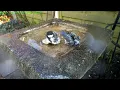 tits having a bath