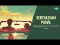 Download Lagu Senthazham Poovil - Brazilian Funk | Jeruson | Mullum Malarum | K. J. Yesudas | Ilaiyaraaja