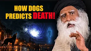 🔴IT'S SHOCKING! Can Dogs Really Sense Death? | Kalabhairava & Dog | Sadhguru