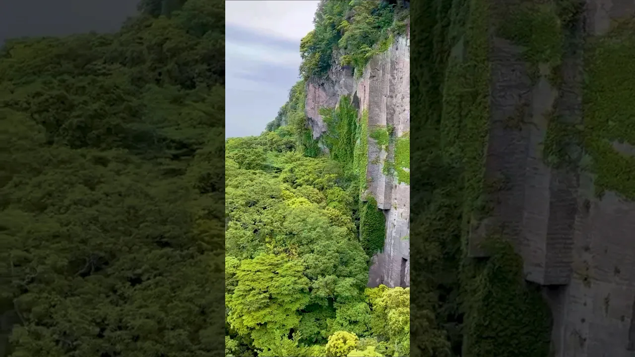 千葉にある山が壮大過ぎた！#vlog #ジブリ#ghibli