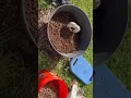 Well pipe head cover PVC landscaping cover