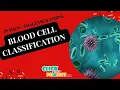 Python Image Processing Project - Blood Cell Classification