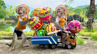 Download Satisfying video Cute Monkey animals - Smart Bim Bim harvest giant candy Lolipop Chupa chups MP3