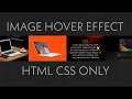 Image Hover Effect Pure CSS Image Hover With Caption HTML CSS O ly