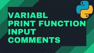 Python programming 3 Variable Print Function Inputs Comment