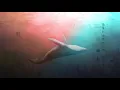 《鯨落城》原創單曲【黯淡】｜康倫feat.阿褚｜