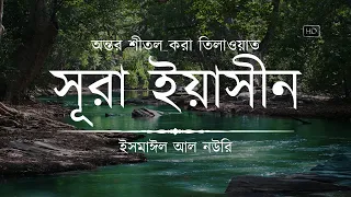 heart soothing recitation of sura yaseen recited by ismail an nouri an nafee