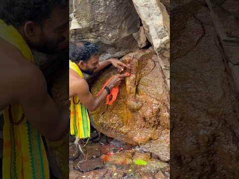 కాణిపాకం వెళ్లకుండా కాణిపాకం వినాయకుడు దర్శనం చేసుకోవచ్చని తెలుసా