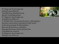 Download Lagu Megame Thoothaga Vaa Song Karaoke For Male Singers