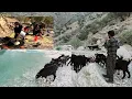 Download Lagu Nomadic Breakfast by the River | Feeding Salt to Sheep + Fresh Bread, Local Butter \u0026 Honey 🍯🔥