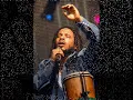 Stephen Marley   Inna di red