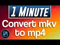 How to Convert MKV to MP4 Tutorial Movavi Converter Premium