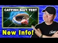 Answering YOUR QUESTIONS About Catfish Bait