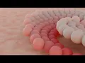 Blender Geometry Nodes Cute Spiral Galaxy Formation