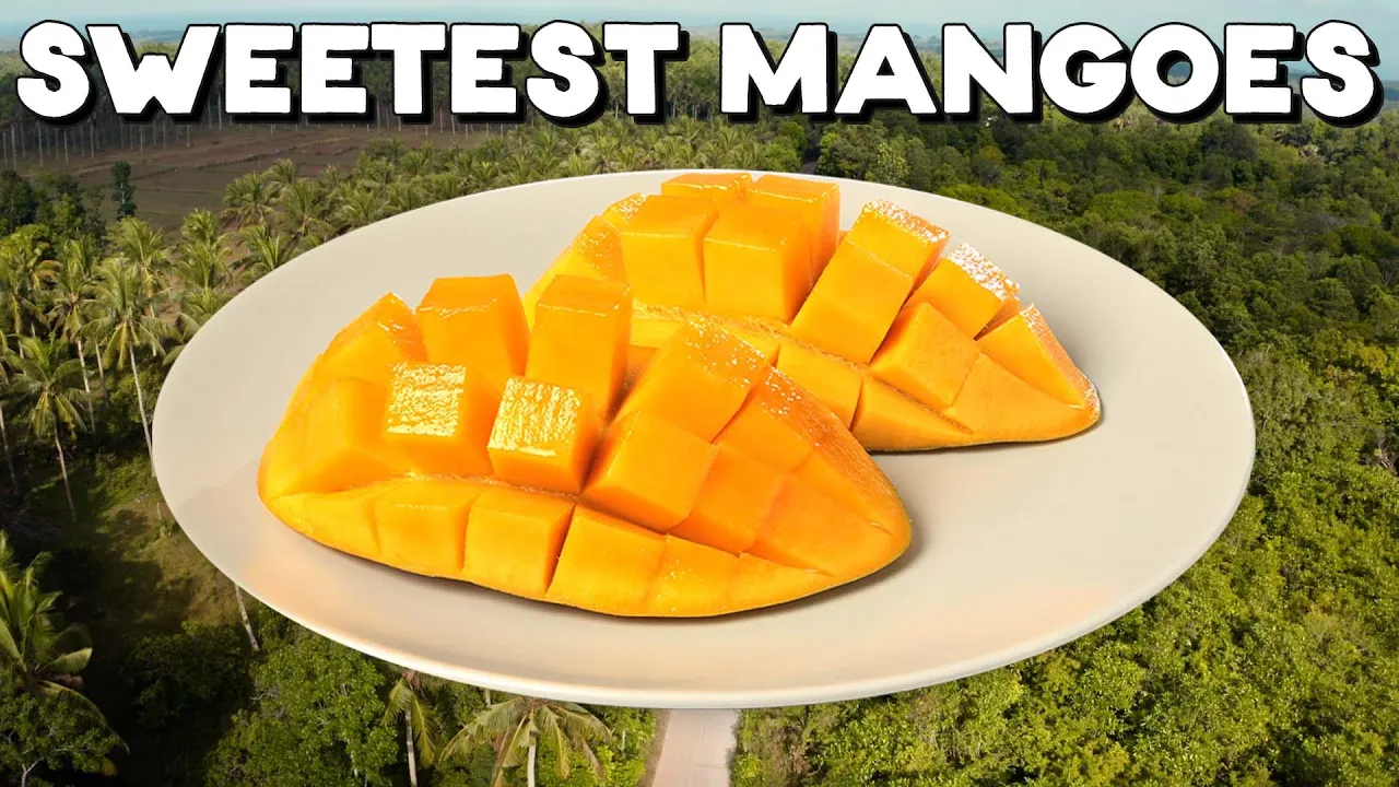 The Sweetest Mangoes In the World