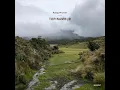 Topinambur - Robag Wruhme