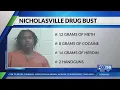 Nicholasville police traffic stop turns into a drug bust