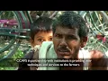 CCAFS Climate Smart Villages