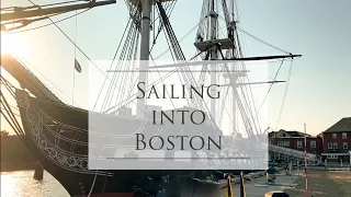 Attack of the sea flies