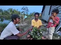 Download Lagu BERBAGI ILMU BERKEBUN \u0026 BETERNAK SAPI \u0026 KAMBING DI LAHAN BEKAS RAWA TRANSMIGRASI KALIMANTAN UTARA
