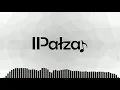 Lagu PAŁZA - Zwariowana noc (z rep. Daj to głośniej)