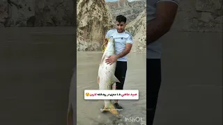 صید ماهی بزرگ صید سمکه 