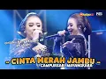 Download Lagu cintaku hanya kamu eh oh eh oh... Niken Salindry - Cinta Merah Jambu