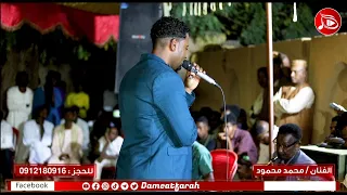 الفنان محمد محمود الشمس غابت اغاني سودانية 2023م 
