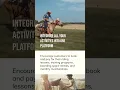 Download Lagu How eSoft Planner's Equestrian Management Software Benefits You