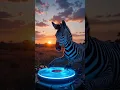 Download Lagu DJ Zebra Drops the Beat! #funnyshorts #funnyvideo #djzebra