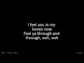 True Feeling - By Galantis (Music + Lyrics)