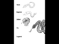 Draw Snake in 5 levels