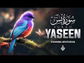 Download Lagu Surah Yasin (Yaseen) سورة يس | Let This Serene Recitation Ease Your Worries | Al-Taqwa TV
