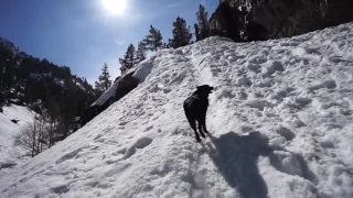 Tahoe: A Snowy Paradise – Pushing North 38