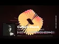 Culture Shock - Lost (Pola & Bryson Remix)