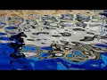 Steven Gutheinz - Currents