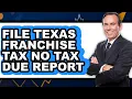 How To File Texas Franchise Tax No Tax Due Report - Step By Step