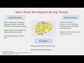Download Lagu Build a Brain (Jane) by Isabel, Abnet, Jessica, Karina, \u0026 Andrew