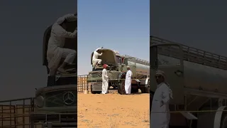 اقردو بحمود دندنها