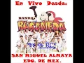 Los Coyotitos & El Toro Mambo - BANDA BUCANERA  by El RC