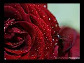 بعد روحي - غسان الشامي