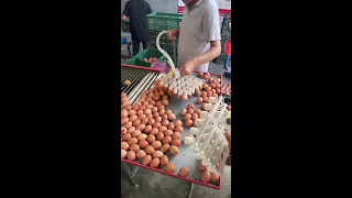                                 دندنها