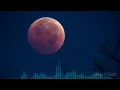 الفنان ... ماجد المهندس .. عوافي _ جلسة